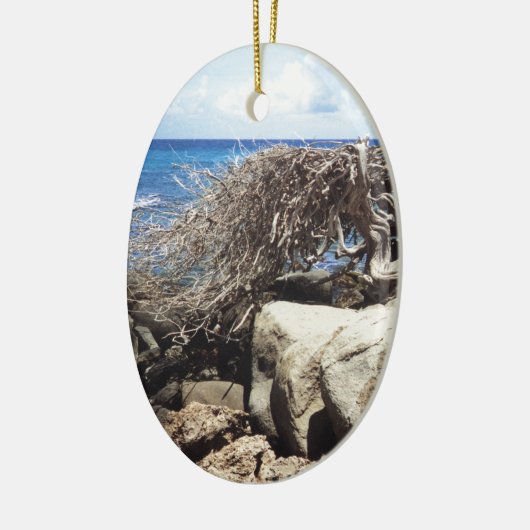 Aruba Divi Tree am Ozean Keramikornament (Links)
