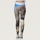 Aruba Divi Tree und Ozean Leggings (Vorderseite)