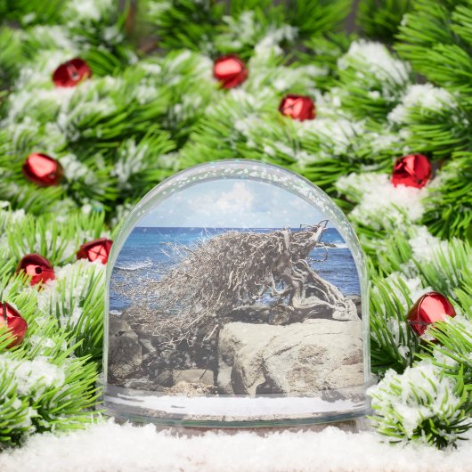 Aruba Divi Tree und Ozean Schneekugeln (Weihnachten)