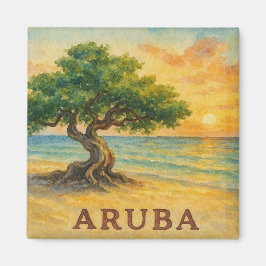 Aruba Eagle Beach Divi Baum Goldene Stunde Magnet