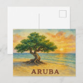 Aruba Eagle Beach Divi Baum Goldene Stunde Postkarte (Vorne/Hinten)