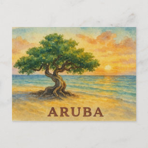 Aruba Eagle Beach Divi Baum Goldene Stunde Postkarte