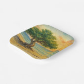 Aruba Eagle Beach Divi Tree Golden Hour Pappteller (Gewinkelt)