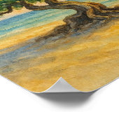 Aruba Eagle Beach Divi Tree Golden Hour Poster (Ecke)