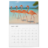 Aruba ein glücklicher Inselkalender Kalender (Mär 2027)