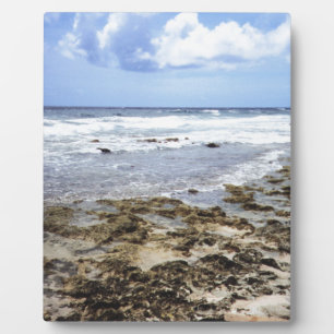 Aruba felsiger Ozean Fotoplatte