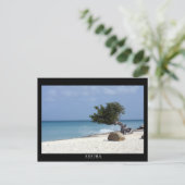 ARUBA fofoti tree Postkarte (Stehend Vorderseite)