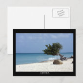 ARUBA fofoti tree Postkarte (Vorne/Hinten)