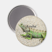 Aruba Green Iguana Magnet (Vorderseite/Rückseite)