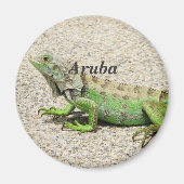 Aruba Green Iguana Magnet (Vorne)