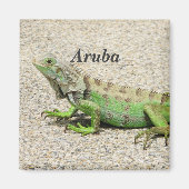 Aruba Green Iguana Magnet (Vorne)