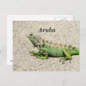 Aruba Green Iguana Postkarte (Vorne/Hinten)