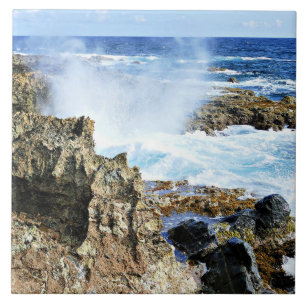 Aruba, Insel Karibisches Meer Fliese