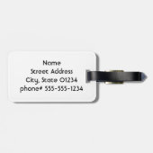 Aruba-Küste Gepäckanhänger (Rückseite horizontal)