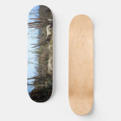 Aruba Landschaft mit Kakteen Skateboard (Vorderseite)