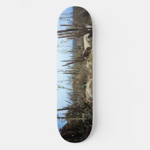 Aruba Landschaft mit Kakteen Skateboard