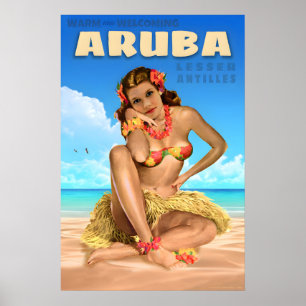 Aruba Lesser Antilles Reiseplakat Sea Eagle Poster