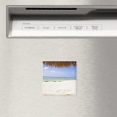 Aruba Magnet (In Situ (Geschirrspüler))