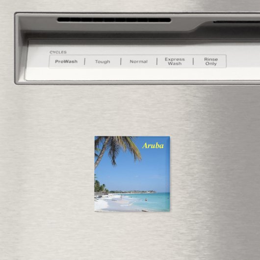 Aruba-Magnet Magnet (In Situ (Geschirrspüler))