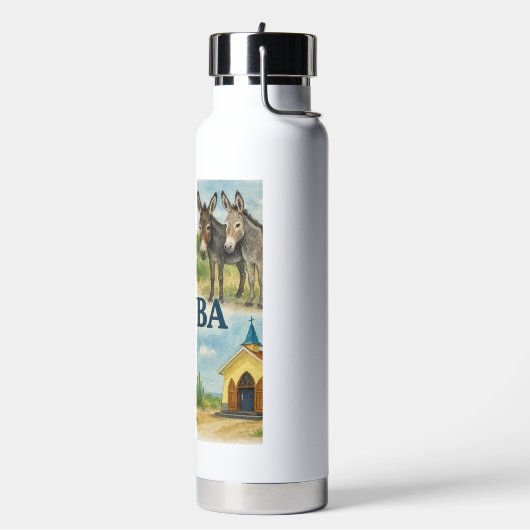Aruba Multiview-Wasserfarbe Trinkflasche (Links)