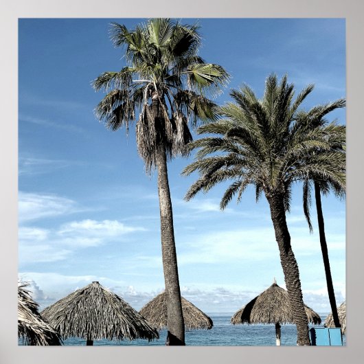 Aruba Ocean View Palmen und Strand Palapa Huts Poster (Vorne)