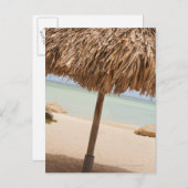 Aruba, palapa auf Strand Postkarte (Vorne/Hinten)