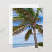 Aruba, Palme am Strand Postkarte (Vorne/Hinten)