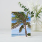 Aruba, Palme am Strand Postkarte (Stehend Vorderseite)