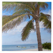 Aruba, Palme auf Strand Fliese (Vorderseite)