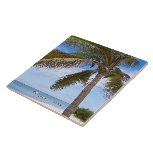 Aruba, Palme auf Strand Fliese (Seite)