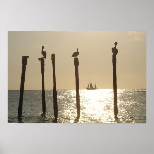 Aruba Poster (Vorne)