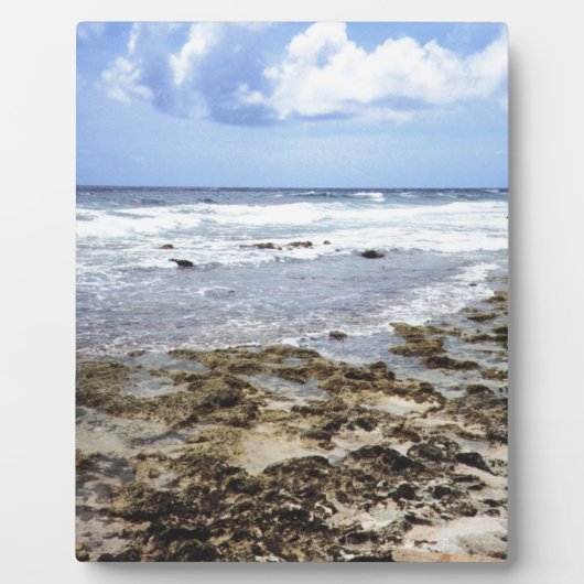 Aruba Rocky Ocean Fotoplatte (Vorderseite)