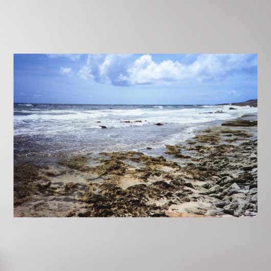 Aruba Rocky Ocean Poster (Vorne)