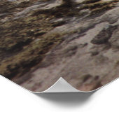 Aruba Rocky Ocean Poster (Ecke)