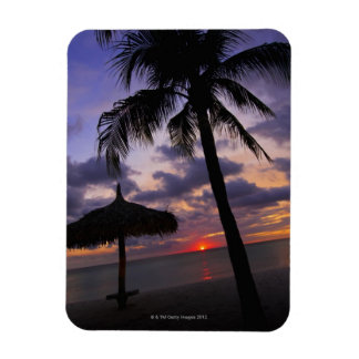 Aruba, Silhouette von Palmen und Palapa Magnet
