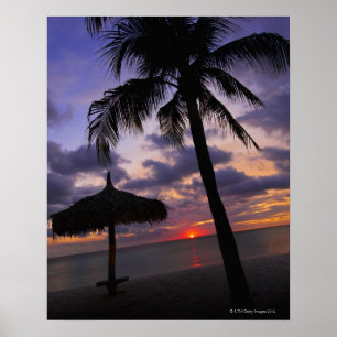 Aruba, Silhouette von Palmen und Palapa Poster