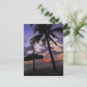 Aruba, Silhouette von Palmen und Palapa Postkarte (Stehend Vorderseite)