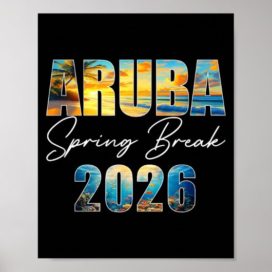 Aruba Spring Break 2026 Summer Vacation Beach Poster (Vorne)