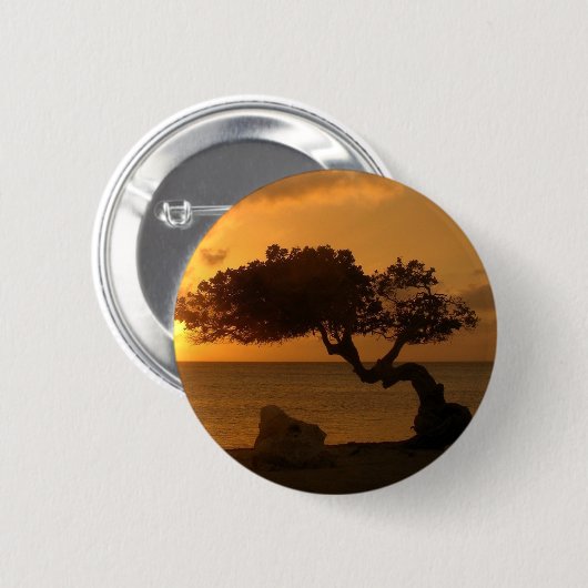 Aruba Sunset Divi Divi Tree Button (Vorne & Hinten)