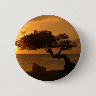 Aruba Sunset Divi Divi Tree Button
