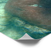 Aruba Unterwasser-Foto Poster (Ecke)
