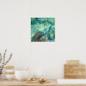 Aruba Unterwasser-Foto Poster (Küche)