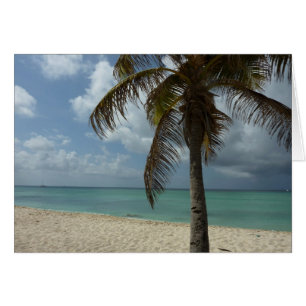 Aruban Beach I Beautiful Nature Szene