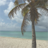 Aruban Beach I Beautiful Nature Szene Aufkleber (Vorderseite)