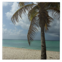 Aruban Beach I Beautiful Nature Szene