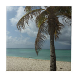 Aruban Beach I Beautiful Nature Szene Fliese