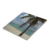 Aruban Beach I Beautiful Nature Szene Fliese (Seite)