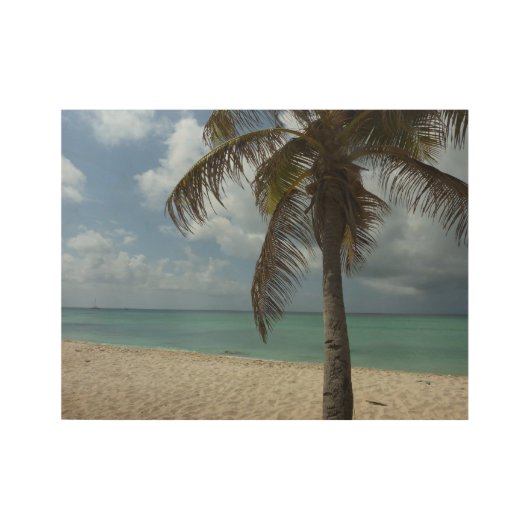 Aruban Beach I Beautiful Nature Szene Holzposter (Vorderseite)