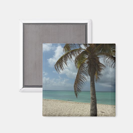 Aruban Beach I Beautiful Nature Szene Magnet (Vorderseite/Rückseite)