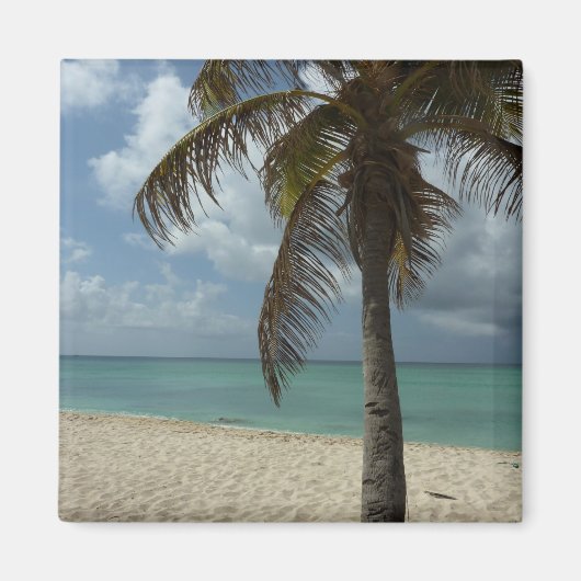 Aruban Beach I Beautiful Nature Szene Magnet (Vorne)